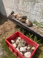 Sierstenen en grind, Tuin en Terras, Ophalen, Gebruikt, Grind