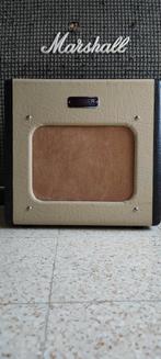 Fender Champion 600 (5watts), Muziek en Instrumenten, Gebruikt, Ophalen of Verzenden