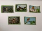 Collections Chlorodont dans les bois, Hobby & Loisirs créatifs, Comme neuf, Enlèvement ou Envoi, Plusieurs images