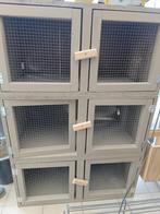 Opfokhokken kuikens, Dieren en Toebehoren, Pluimvee | Toebehoren, Ophalen, Zo goed als nieuw