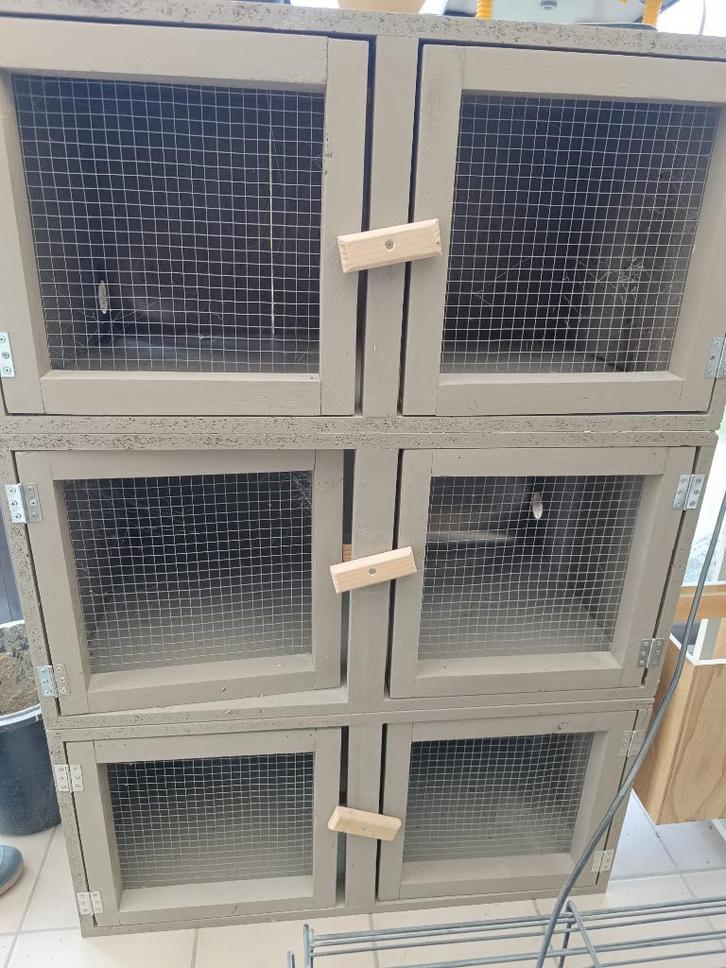 Opfokhokken kuikens, Dieren en Toebehoren, Pluimvee | Toebehoren, Zo goed als nieuw, Ophalen