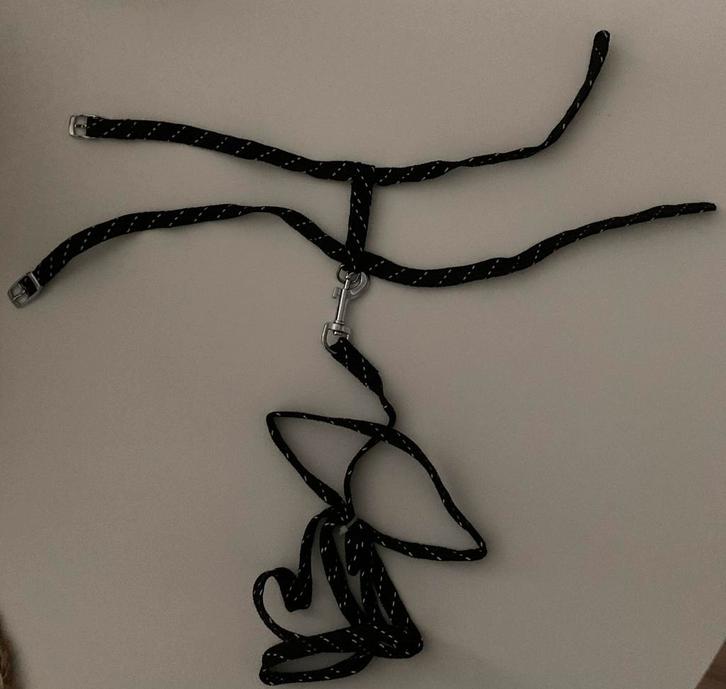 Kattentuig + riem, Dieren en Toebehoren, Katten-accessoires, Nieuw, Ophalen of Verzenden