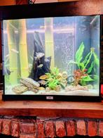 Lot Matériel Aquarium, Enlèvement, Comme neuf, Autres types