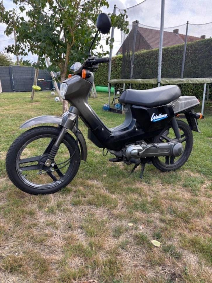 Honda Wallaroo Klasse B, Fietsen en Brommers, Brommers | Honda, Zo goed als nieuw, Overige modellen, Klasse B (45 km/u), Ophalen