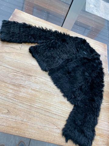 Jasje Caroline Biss beschikbaar voor biedingen