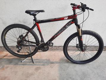Carbon Mountainbike Ridley