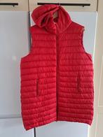 Bodywarmer met capuchon mt 50 Rood   (NL), Kleding | Dames, Bodywarmers, C&A, Zo goed als nieuw, Maat 46/48 (XL) of groter, Ophalen