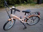 Meisjesfiets 20 inch van Golden Lion (6- 8 jaar), Fietsen en Brommers, Fietsen | Kinderfietsjes, Ophalen, Gebruikt, 20 inch of meer