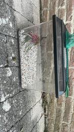 Petit aqurium avec 2 epuisettes, Ophalen, Zo goed als nieuw