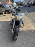 Kawasaki VN 1600, Motoren, Cardan-aandrijving, 2 cilinders, 1600 cc, Chopper