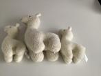 Lama’s, Ophalen of Verzenden, Overige typen