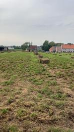 Kleine pakjes hooi, Dieren en Toebehoren, Dierenvoeding, Ophalen, Vee