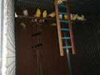 Waterslagers en harzers