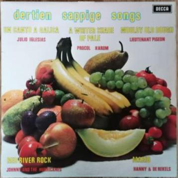 DERTIEN SAPPIGE SONGS – verzamelalbum – LP – Vinyl beschikbaar voor biedingen