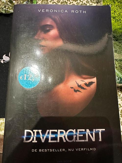 Divergent NL, Livres, Fantastique, Enlèvement ou Envoi