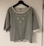 Sweater t-shirt Amélie Amélie, Kleding | Dames, Amélie Amélie, Grijs, Maat 38/40 (M), Ophalen of Verzenden