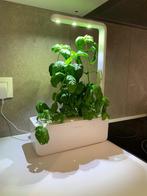 Click and Grow indoor plant garden, Tuin en Terras, Kweekspullen, Kweekkast, Gebruikt, Ophalen of Verzenden