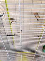Zebravinken, Dieren en Toebehoren, Vogels | Hokken en Kooien, Ophalen, Zo goed als nieuw