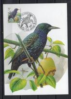 Année 1996 : Carte maximum 2638 - Oiseaux - Etourneau sanson, Timbres & Monnaies, Timbres | Europe | Belgique, Enlèvement ou Envoi
