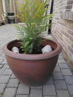 Twee grote stenen bloempotten voor buiten, Tuin en Terras, Ophalen
