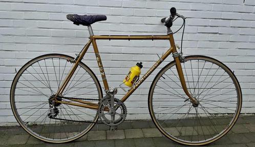 Herenfiets, Fietsen en Brommers, Fietsen | Heren | Herenfietsen, Gebruikt, Overige merken, Versnellingen, Ophalen