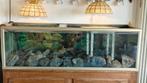 aquarium, Ophalen, Gebruikt, Plant(en), Steen of Hout
