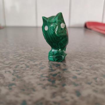 Uiltje malachiet beschikbaar voor biedingen