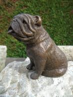 dierenbeeld van een bulldoghond in brons, Antiek en Kunst, Ophalen of Verzenden, Brons