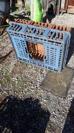 Korf om pluimvee te vervoeren, Tuin en Terras, Ophalen, Zo goed als nieuw