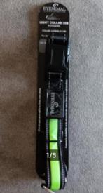 Collier NEUF lumineux jaune rechargeable USB chien, Ophalen of Verzenden, Nieuw