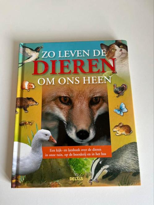 Zo leven de dieren om ons heen, Livres, Livres pour enfants | Jeunesse | Moins de 10 ans, Comme neuf, Enlèvement ou Envoi