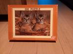 Puzzel jonge katjes (500 stukjes), Hobby en Vrije tijd, Ophalen, 500 t/m 1500 stukjes, Gebruikt, Legpuzzel