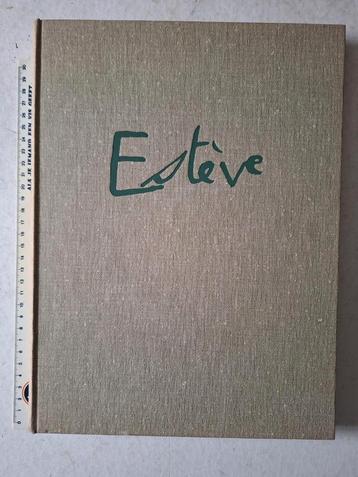Monografie van Maurice Esteve door Pierre Francastel 1956 beschikbaar voor biedingen