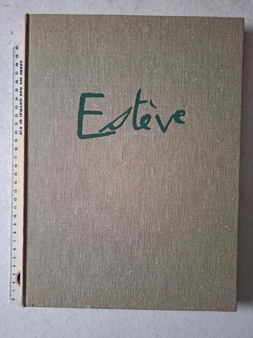 Monografie van Maurice Esteve door Pierre Francastel 1956, Boeken, Kunst en Cultuur | Beeldend, Zo goed als nieuw, Ophalen of Verzenden