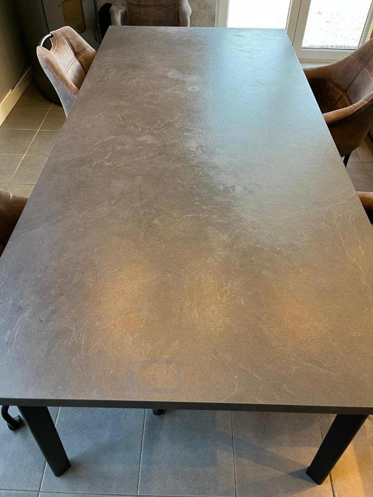Eettafel, Huis en Inrichting, Tafels | Eettafels, Gebruikt, 100 tot 150 cm, 200 cm of meer, Vijf personen of meer, Rechthoekig