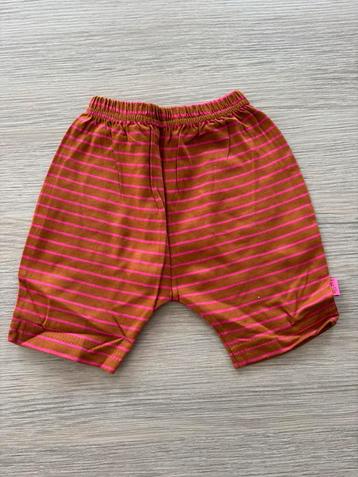 Broekje - maat 68 (nieuw), Kinderen en Baby's, Broekje, Meisje, Nieuw, Ophalen of Verzenden