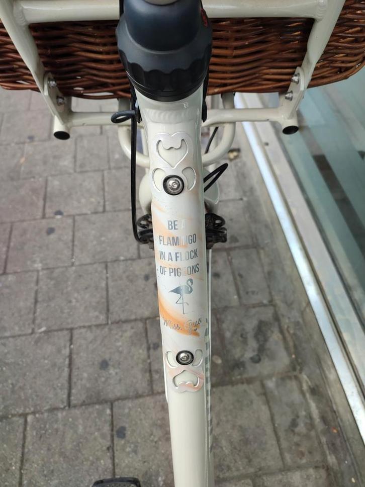 E-bike Gazelle, Vélos & Vélomoteurs, Vélos électriques, Comme neuf, Gazelle, Enlèvement