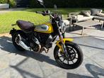 Ducat Scrambler Nightshift yellow 800cc, Motoren, Motoren | Ducati, Particulier, 800 cc, Naked bike