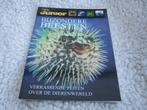 National Geographic junior, Livres, Journaux & Revues, Utilisé, Enlèvement ou Envoi, Science et Nature
