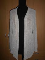 Mooie vest-gilet  Kaos. Maat M, Maat 38/40 (M), Ophalen of Verzenden, Zo goed als nieuw, Grijs