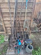 Paarden atributen, Enlèvement