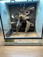 Terrarium, Ophalen, Zo goed als nieuw