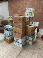brocante ( caisses a bananes pleine ), Ophalen
