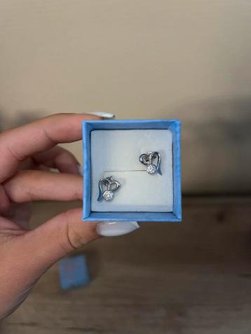 Zilveren oorbellen beschikbaar voor biedingen