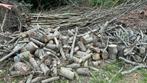 Superveel hout voornamelijk eik, beuk, kerselaar, .., Tuin en Terras, Brandhout, Ophalen