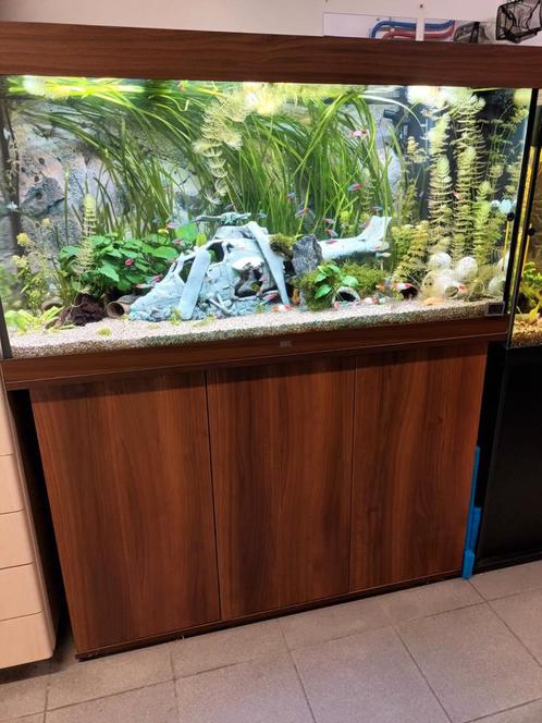 Juwel 300 met vissen en toebehoren, Dieren en Toebehoren, Vissen | Aquaria en Toebehoren, Gebruikt, Ophalen
