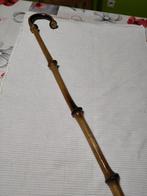 Canne en bambou, Enlèvement