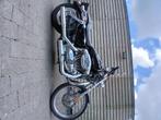 Sportster, Particulier, 2 cilinders, 883 cc, Chopper