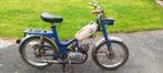 MV AGUSTA GERMANA BROMMER 3VIT 1964-68 OPKNAPPER, Overige merken, Klasse B (45 km/u), 3 versnellingen, 49 cc