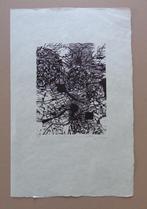 KOOPJES !!! / KUNSTWERKEN TE KOOP / 10 EURO PER STUK, Antiek en Kunst, Kunst | Litho's en Zeefdrukken, Ophalen of Verzenden